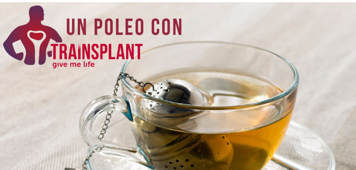 Un Poleo con Traïnsplant